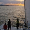 Image 13: Excursión de 2 horas en catamarán al atardecer con cena y copa de cava