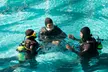 Experiencia inicial de buceo en piscina con instructor para 1 o 2 personas, con hasta un 43% de descuento - Second Medium