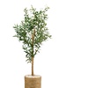 Image 3: Plante artificielle décorative olivier