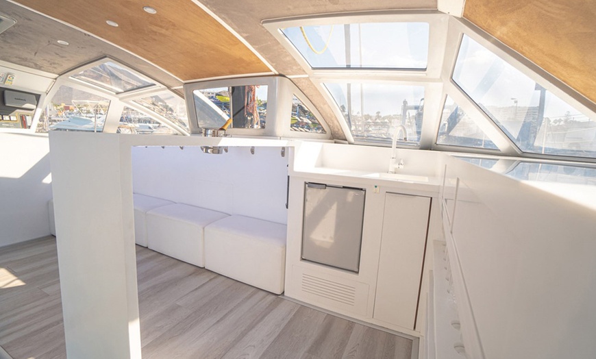 Image 7: Avistamiento de ballenas y delfines en catamarán para adultos y niños