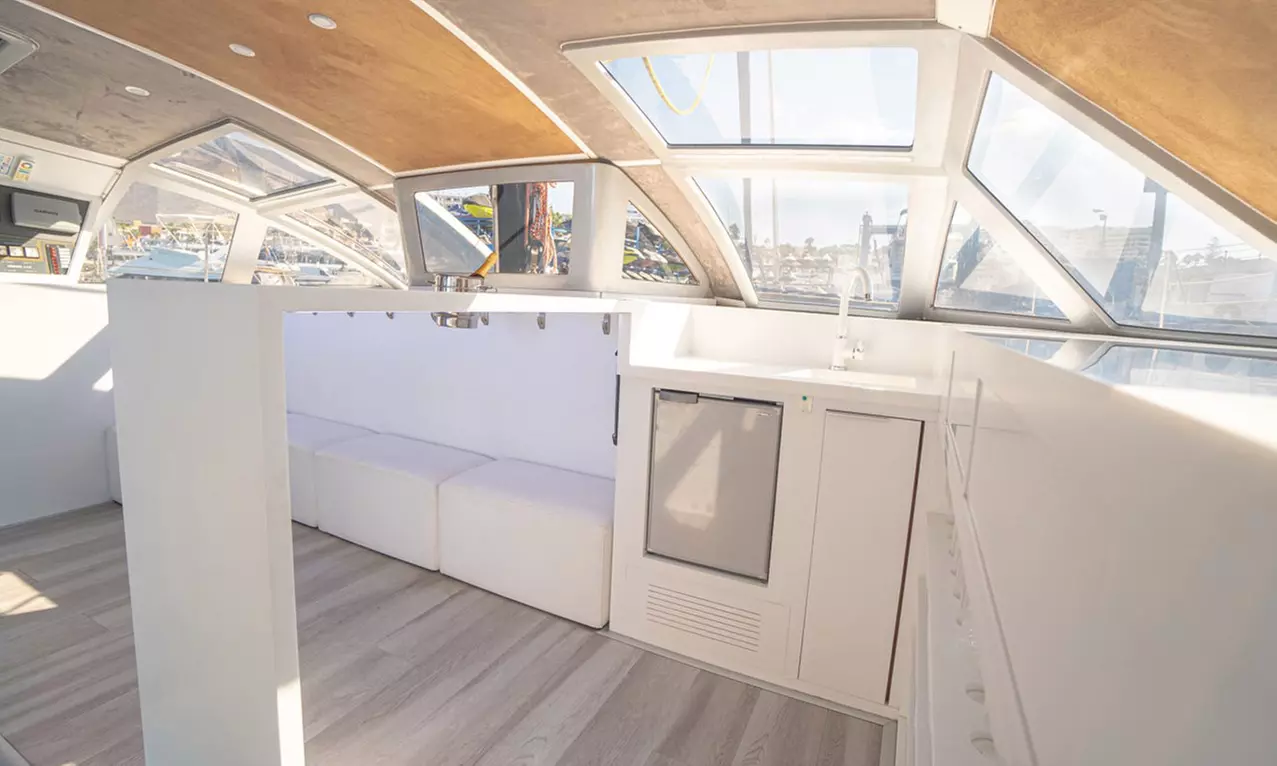 Avistamiento de ballenas y delfines en catamarán para adultos y niños