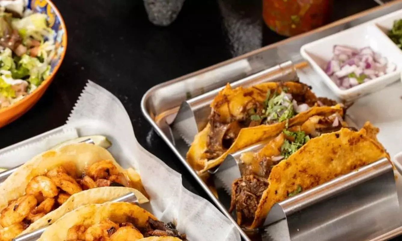 Vibrant Rooftop Dining: Choose Meals, Margaritas, or Dining Credit