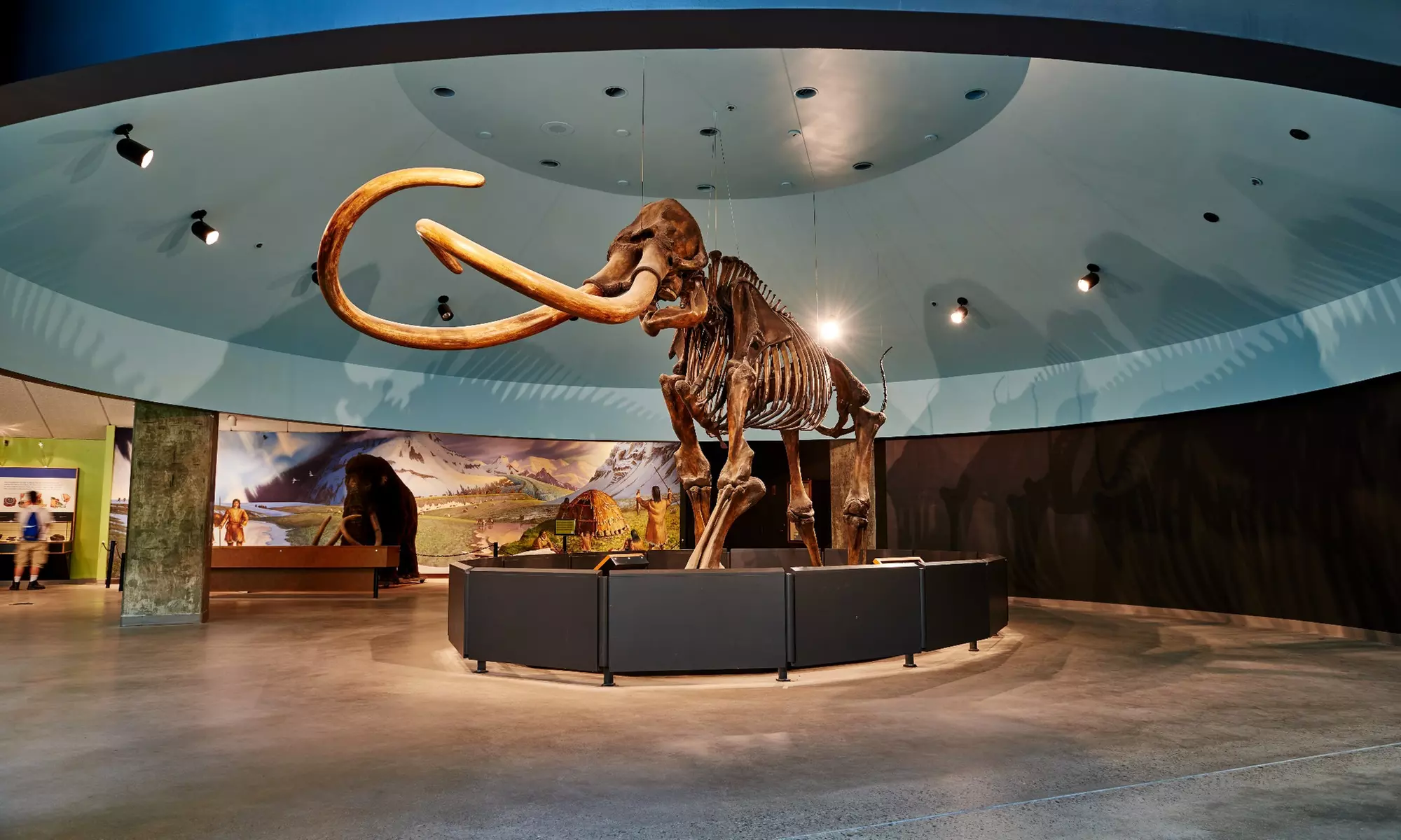 Warner Bros. Studio Tour + 3 Attractions with Los Angeles CityPASS