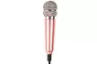 One, Two or Four Mini Karaoke Microphones - Second Medium