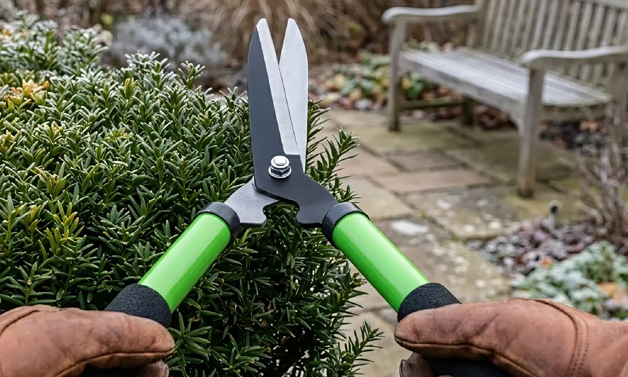 Utensili per potatura