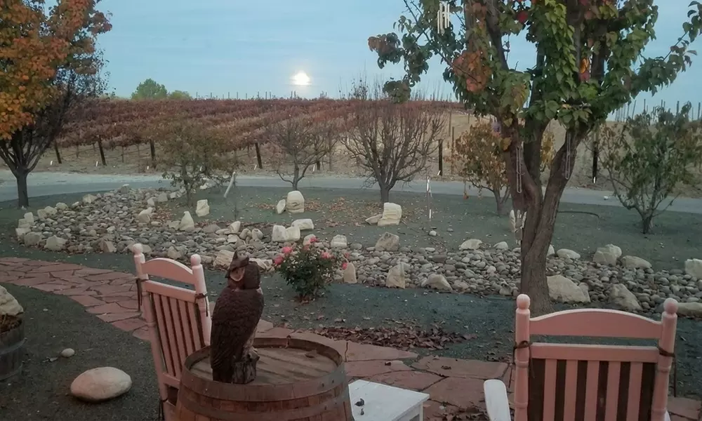 Winemaker-Hosted Wine Tasting with Stunning Views near Paso Robles