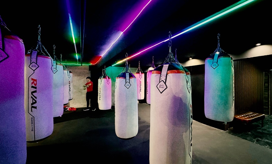 Image 2: Clase de boxeo o entrenamiento funcional de 55 minutos para 1 persona