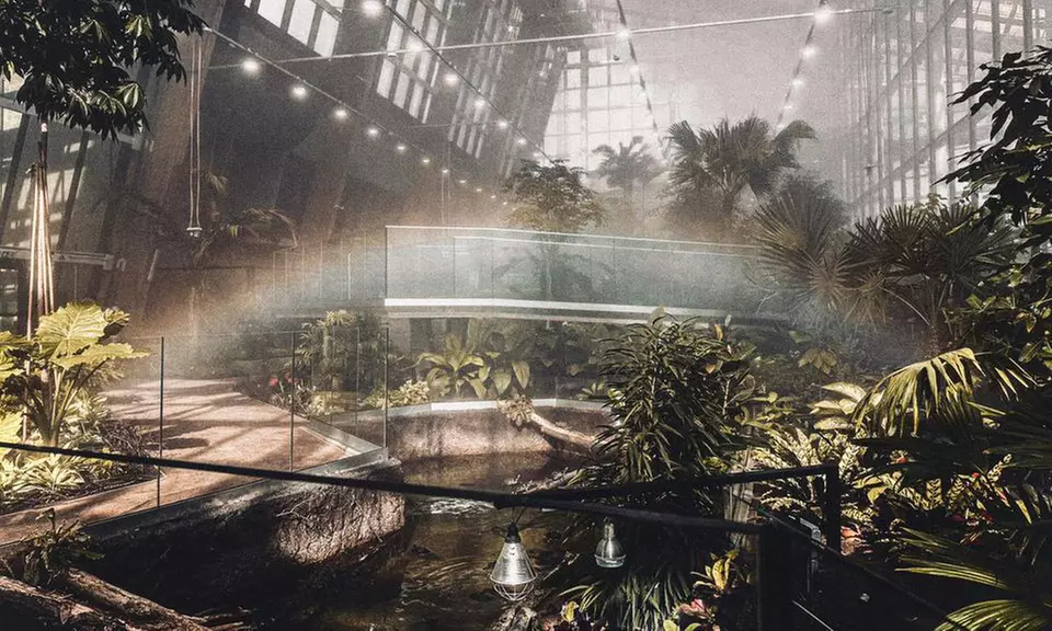 Zobacz z bliska egzotyczne rośliny i zwierzęta: bilety do Egzotarium