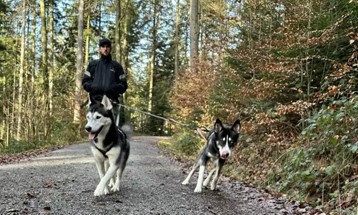 Husky-Wanderung für Familien: 1–2 Erwachsene & 1–3 Kinder