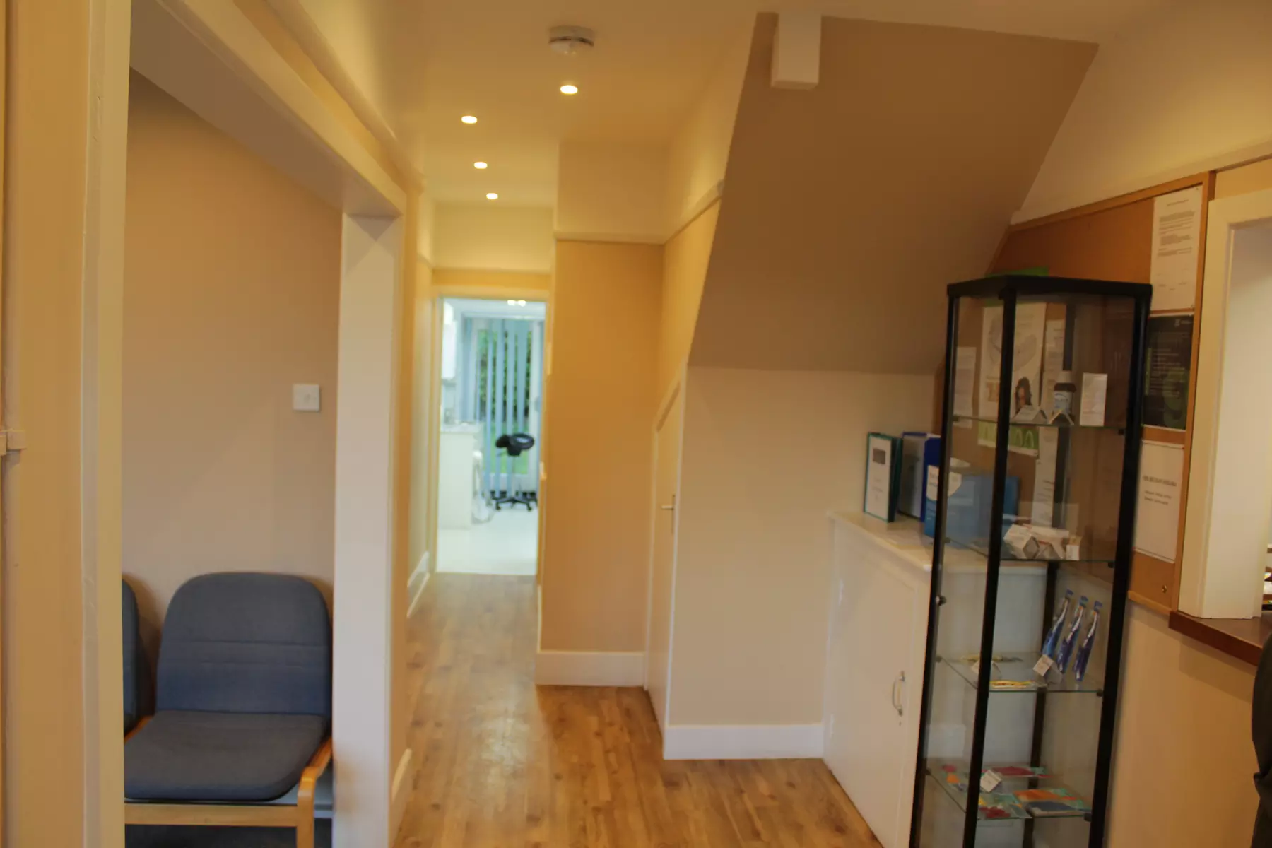 New Patient Exam with 2 Detailed X-Rays Today