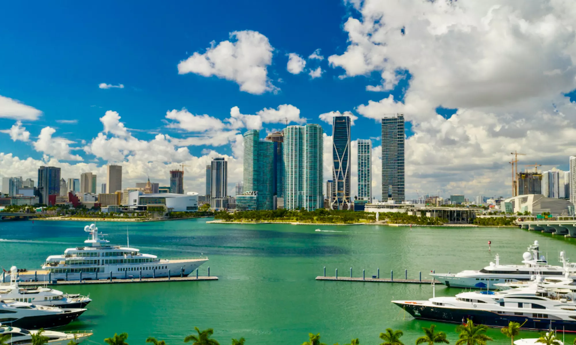 Miami Waterfront Adventure: 90-Minute Cityscape Tour