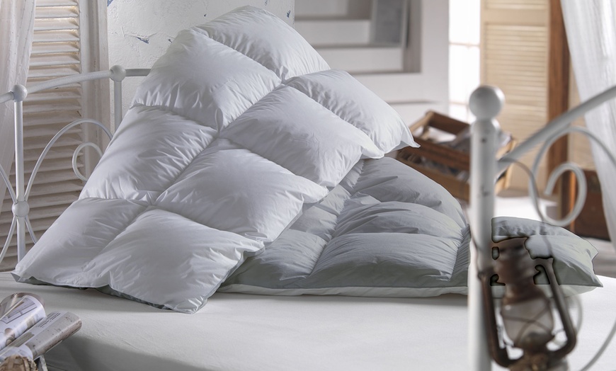 Image 3: Couette d’hiver réversible avec 90% plumes d’oie