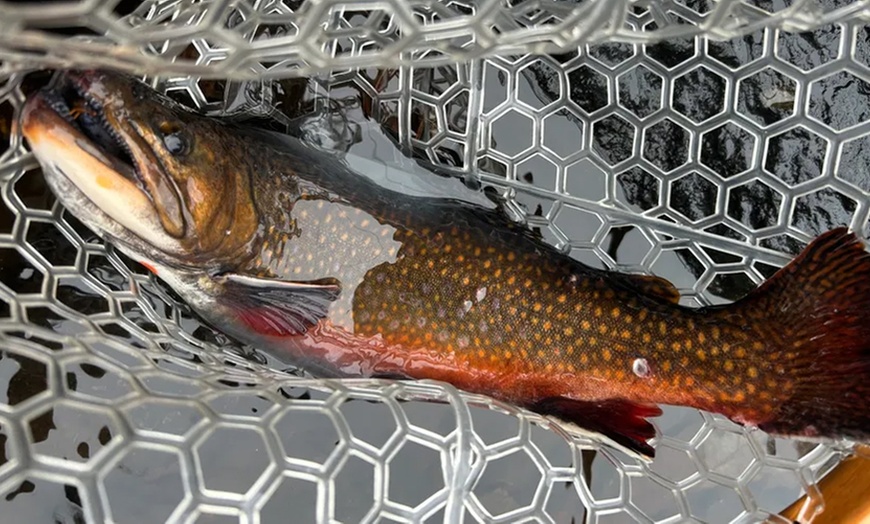 Image 7: Up to 28% Off on Fishing at Bloom Fly Fishing