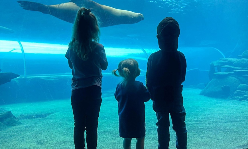 Image 14: Essex: 4* Stay for 2 or 4 with Breakfast and optional Zoo tickets 