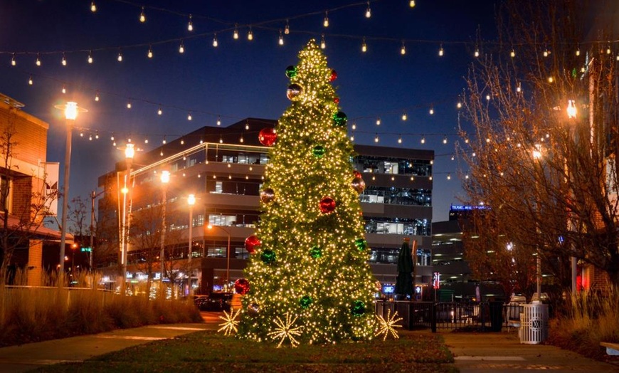Image 16: Lights Provided:1 or 2 Story/Consult for Xmas Lights Bright Ideas 