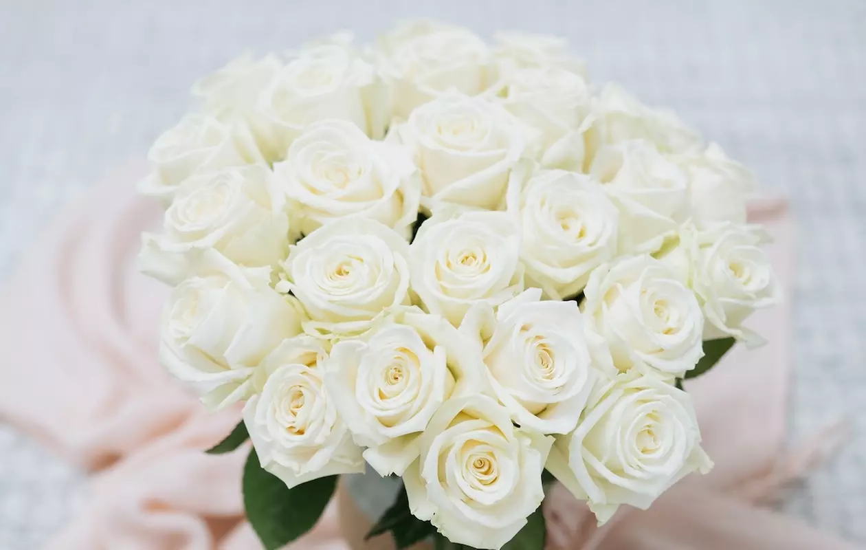 24 ct Roses Luxury Long Stem Rose Bouquets - Rose Farmers