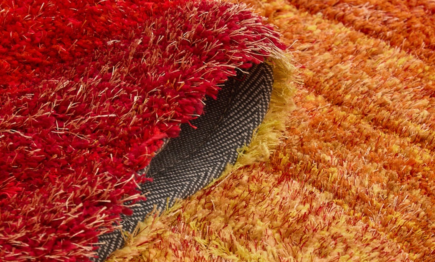 Image 115: DS Living Ultra Plush Rug 