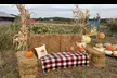 Get Lost in Fun: Davis Family Farm Fall Corn Maze Adventure (Up to 32% Off) - Second Medium