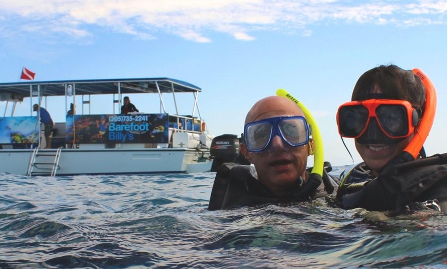 Image 6: Key West Dolphin Watch & Snorkel Tour