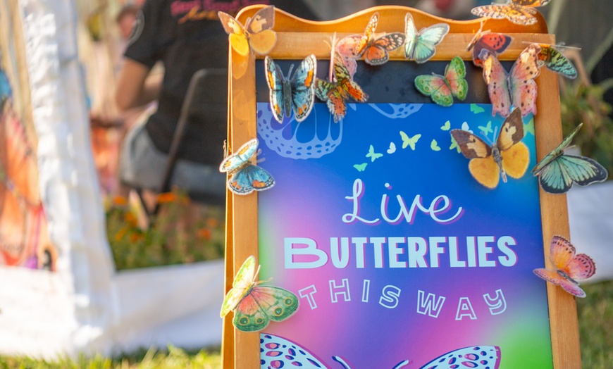 Image 5: Up to 40% Off on Music Festival at Feel Good Fest