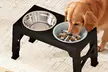 Skylos Smart Pet Feeding Solutions - Second Medium