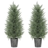Image 2: Set of Two HomCom Artificial Cypress Trees 