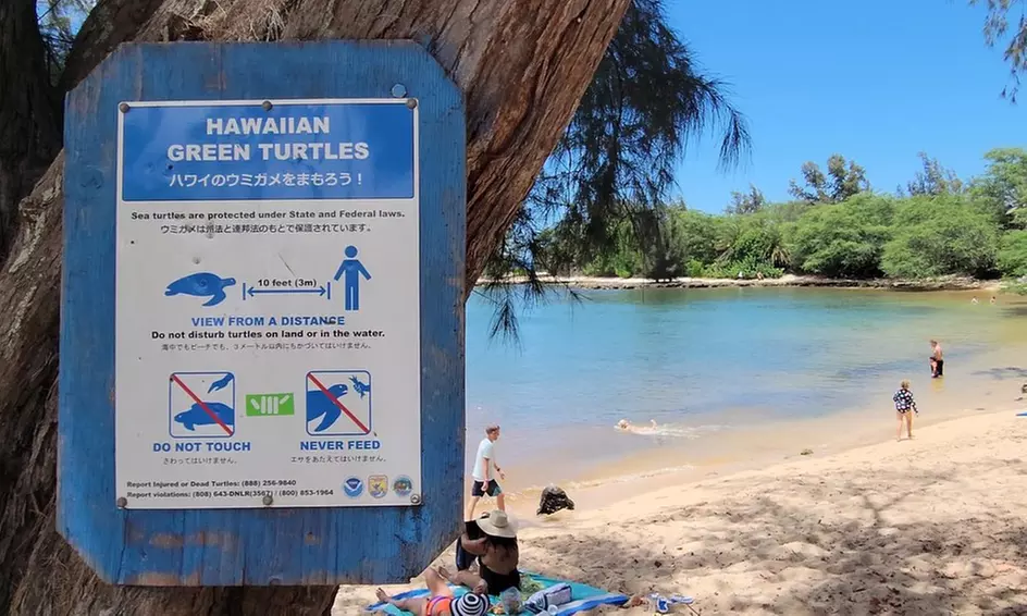 Embark w/ Northshore Circle Island Adventure for 1 Child,1 Adult