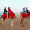 Image 8: Adventure Awaits: Desert Safari with Jeep or Quad Bike Thrills