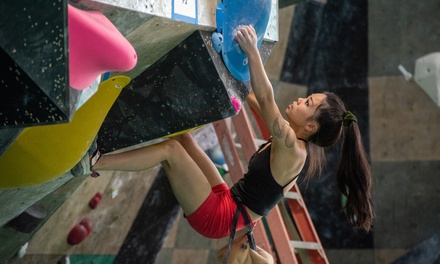 One Day Pass with Shoe Rental for 1 Person - Warehouse Climbing Co Goshen, Indiana