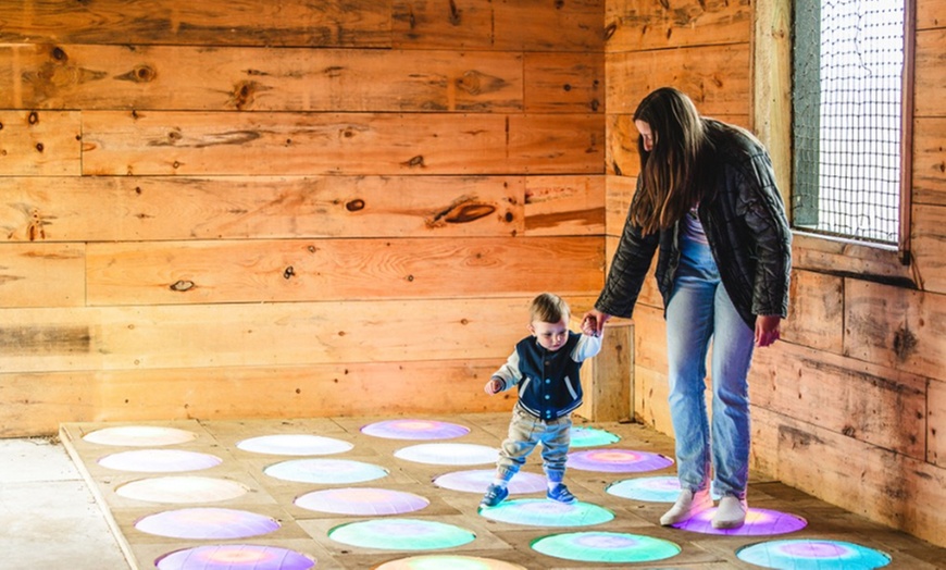 Image 12: Up to 12% Off Adventure Park Admission at Shepherd of the Hills