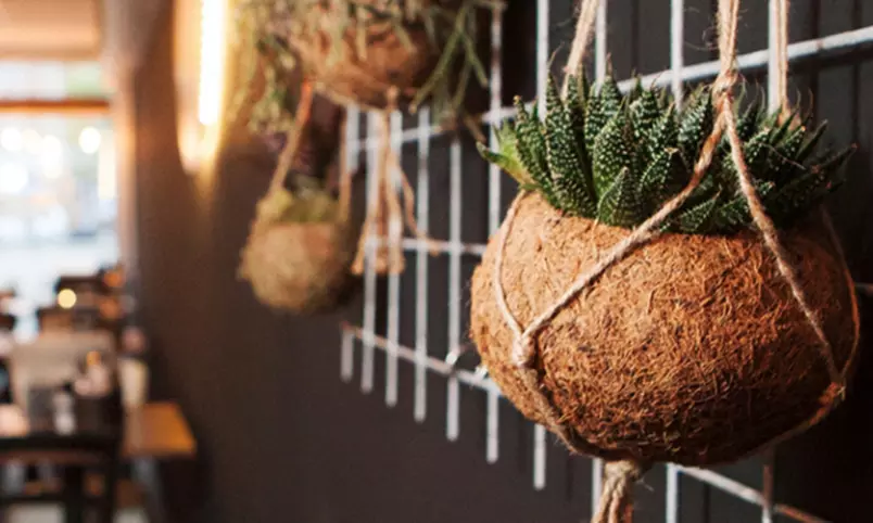 2-gangen pannenkoekenlunch of -diner