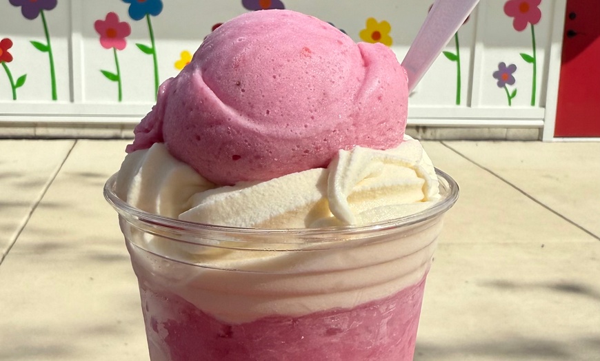 Image 10: Satisfy Your Cravings: Two Groovy Ices, $10 or $20 of Food and Drink