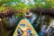 Explore Scenic Waterways: Save on Two-Hour or Unlimited Paddleboard & Kayak Rentals with All Gear Included - Second Medium
