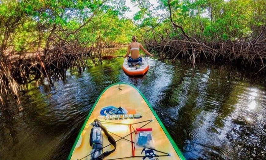 Image 2: Paddleboard or Kayaking Adventures for 2 Hours or All Day!