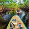 Image 2: Paddleboard or Kayaking Adventures for 2 Hours or All Day!