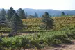 Experience Crystal Basin Cellars with wine tastings and tours for 2 or 4, including barrel tastings and bottles of wine, up to 40% - Second Medium