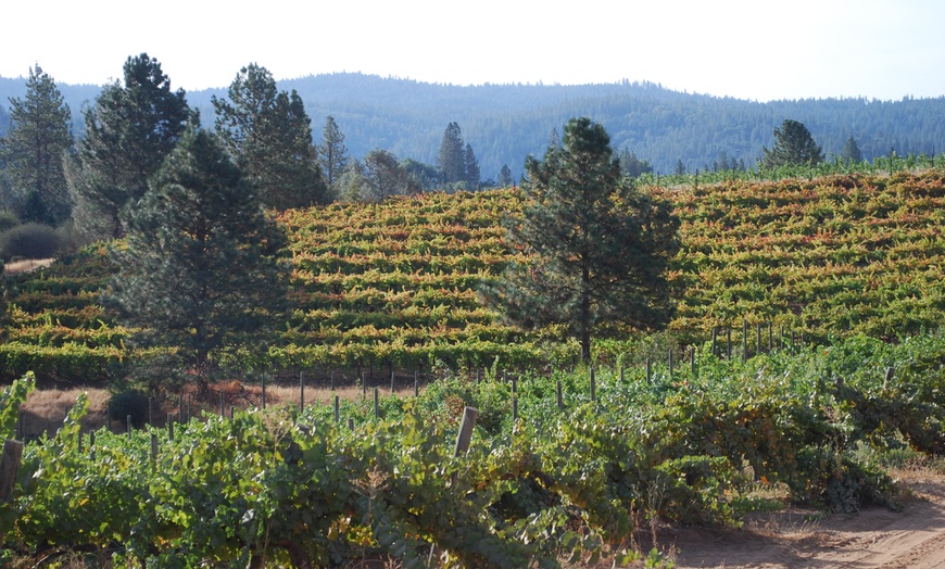 Image 2: Wine tasting and tour for 2 or 4 with barrel tasting and wine