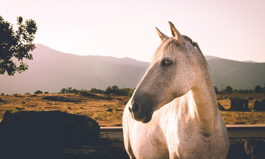 Image 7: Visita a bodega con cata de 3 vinos y aperitivos para hasta 6 personas