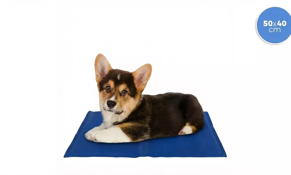 Wasserfeste Kühlmatte für Hunde