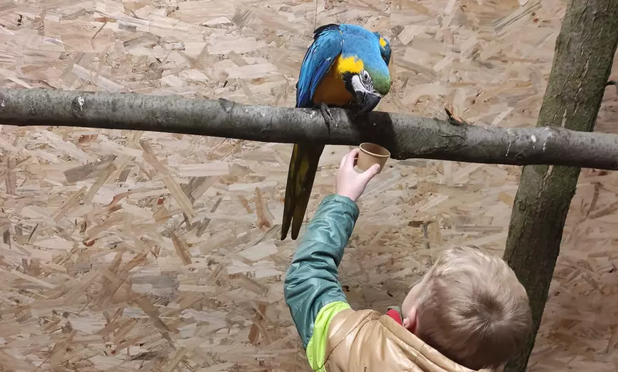 Image 4: Bilety do Papugarni Arka Noego z możliwością karmienia ptaków