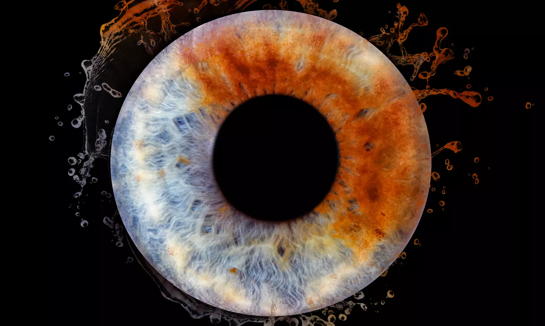 Iris-Fotoshooting für 1 - 3 Iriden ohne Effekt inkl. Bild als Datei