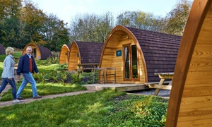 Forest of Dean: Glamping Pod for Two