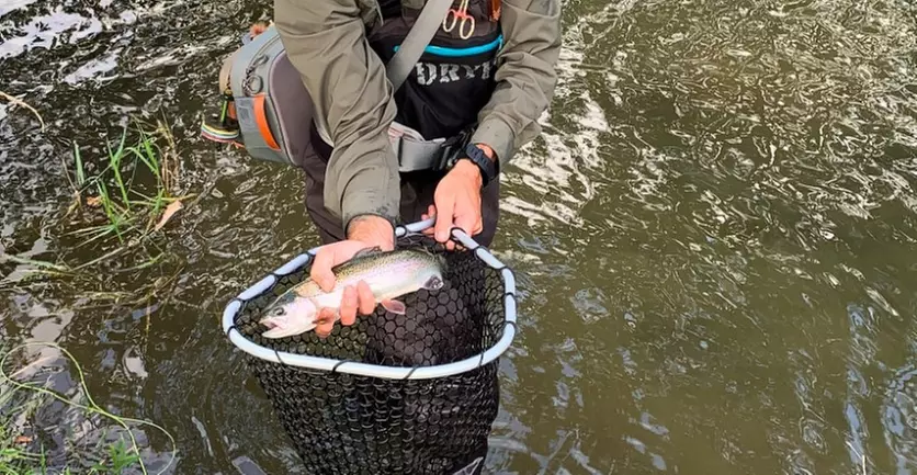 Guided Fly Fishing and Scenic Float Trips in Dunmore, PA