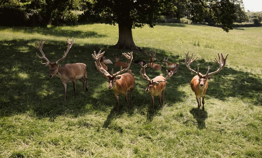 Image 12: This Halloween & Christmas Peak Time Farm and Soft Play Ticket 