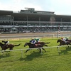Image 2: Monmouth Park Race Track - Up to 50% Off