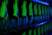 Two Indoor Laser Tag Missions for Two, Three or Four People at Team Tactics (Up to 45% Off) - Second Medium