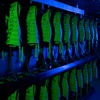 Image 5: Up to 51% Off Indoor Laser Tag Missions at Team Tactics