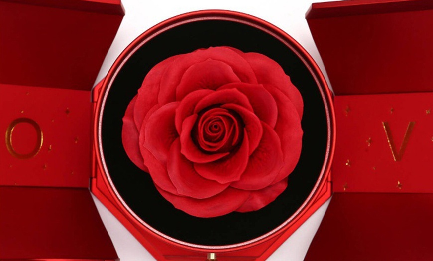 Image 4: Geschenk-Set mit konservierter Rose & eleganter Halskette