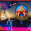 Image 1: Marinelli Bros Circus - Up to 43% Off
