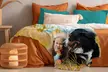 Personalised Photo Blanket from Photo Gifts (Up to 90% Off) - Second Medium